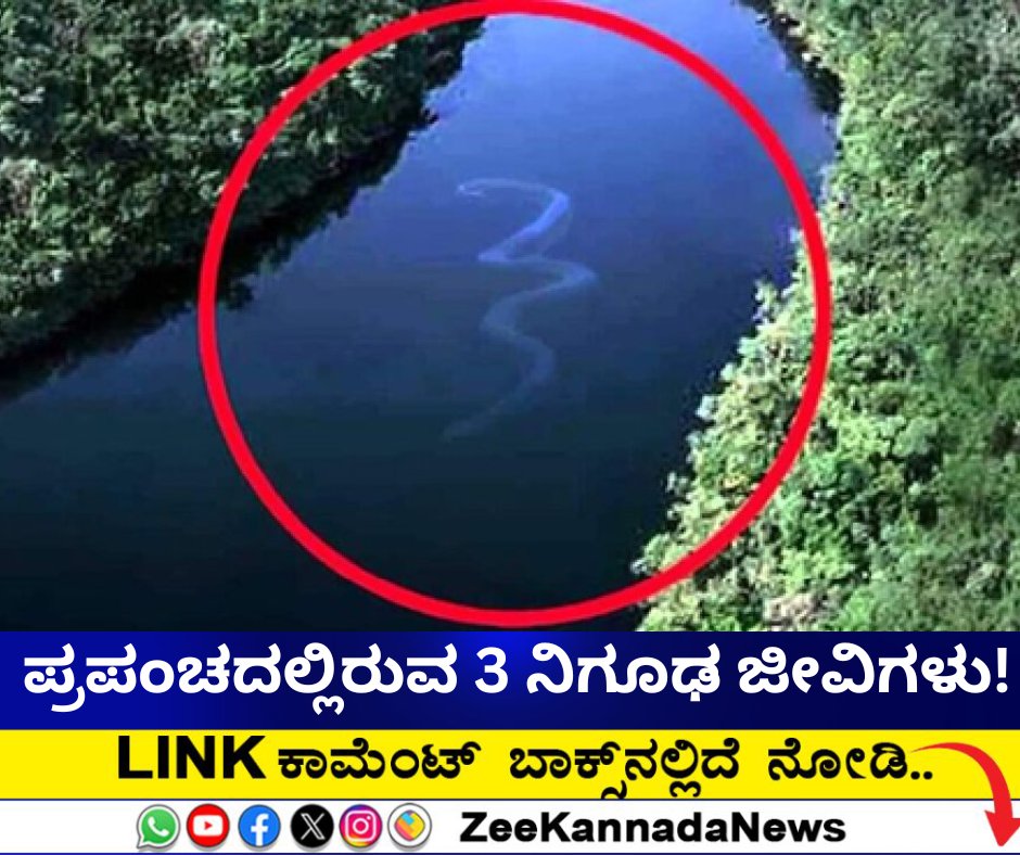 ZeeKannadaNews's tweet image. ಪ್ರಪಂಚದಲ್ಲಿರುವ 3 ನಿಗೂಢ ಮತ್ತು ಭಯಾನಕ ಜೀವಿಗಳು...

#Mysteriouscreatures #WeirdStory #ViralNews #chupacabra #puertorico #lochnessmonster #scotland

zeenews.india.com/kannada/photo-…