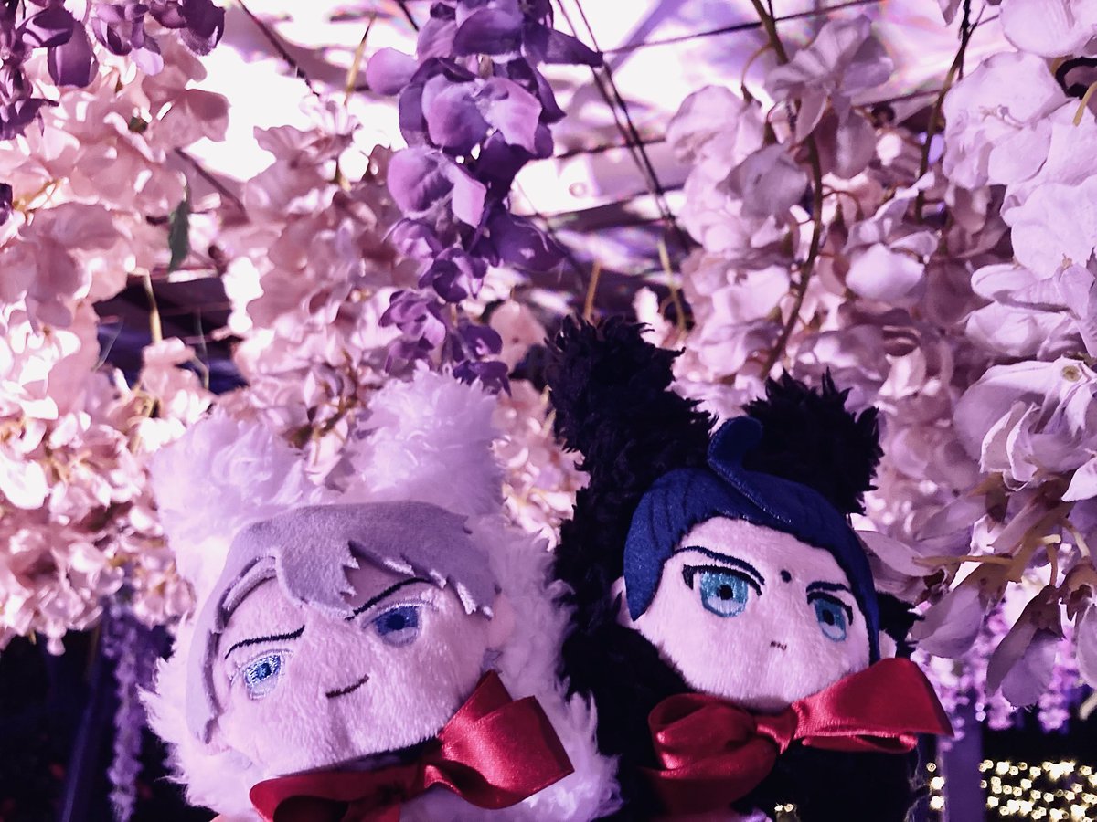 ポチョ山🐝 (@kinma520) / Posts / X