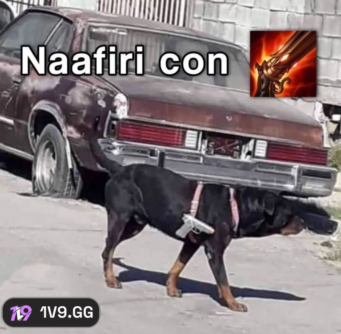 1v9.GG (@1v9gg_) on Twitter photo 