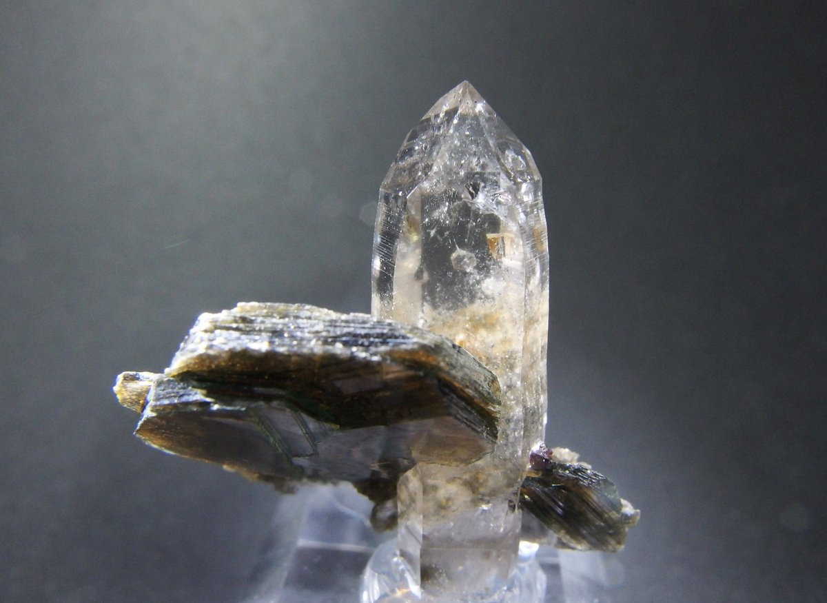 BlueColundum's tweet image. 長野で初石してきました
ノースカロライナの水晶＆雲母
鉱山じゃなく、私有地で地主さんが採集したものだとか
内包された雲母がキラキラで良い
メレラニ鉱山のガーネット＆透輝石
どちらも蛍光するので楽しい
電車で行ったらスイッチバックが体験できて楽しかった