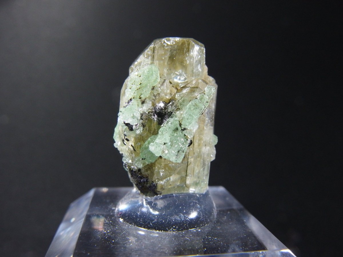 BlueColundum's tweet image. 長野で初石してきました
ノースカロライナの水晶＆雲母
鉱山じゃなく、私有地で地主さんが採集したものだとか
内包された雲母がキラキラで良い
メレラニ鉱山のガーネット＆透輝石
どちらも蛍光するので楽しい
電車で行ったらスイッチバックが体験できて楽しかった