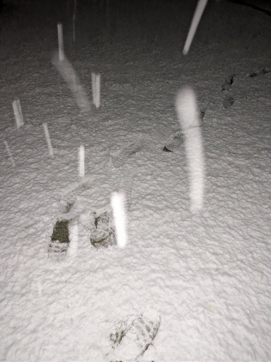 Kento (@kento_nendo) on Twitter photo 