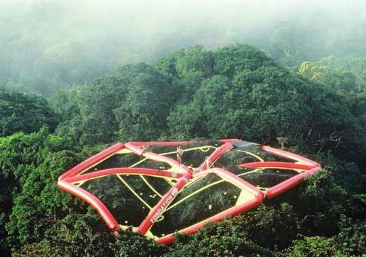 MDelafosse's tweet image. Immense tristesse d’apprendre la disparition de Francis Hallé, immense chercheur sur le vivant, dont la connaissance sur les arbres fut déterminante pour chacun. Explorateur contemporain, il fut le concepteur du radeau des cimes. Récemment, il défendait la nécessité de constituer…