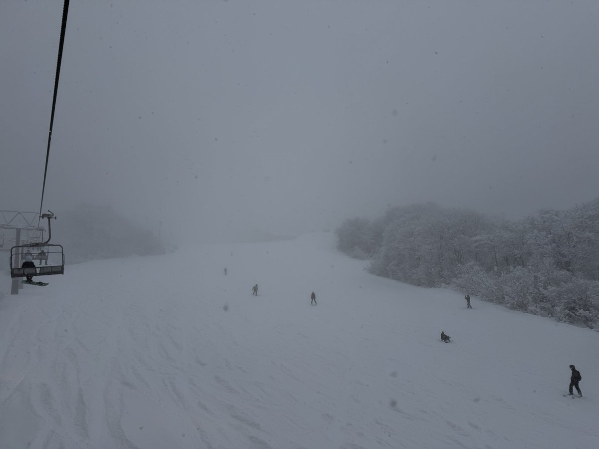 KLIM(くりーむ)/くらさん🍨 tweet media