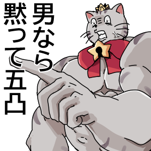 ◉にゃんちゃん スーパーにゃんちゃん