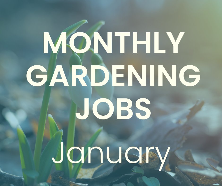 Hello January!

The new year is the perfect time to give your garden some TLC. From planning ahead to tidying up, we've put together a helpful checklist for the essential garden tasks to kick off the year right >> hubs.ly/Q03Y5dmz0