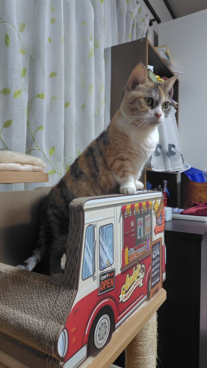 れいちぇる (@reichel0731) / Posts / X