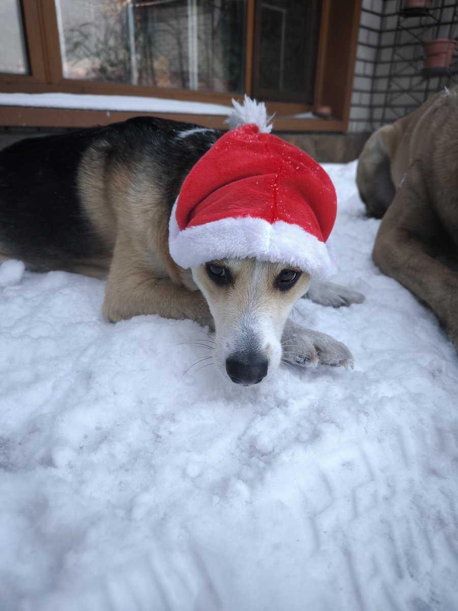 Так непривычно быть дома в это время,  обычно я летаю встречаться с друзьями,  а в этот раз не получилось. Печалюсь🥲 И с некоторыми друзьями я вообще неизвестно когда увижусь,  потому что они в РФ