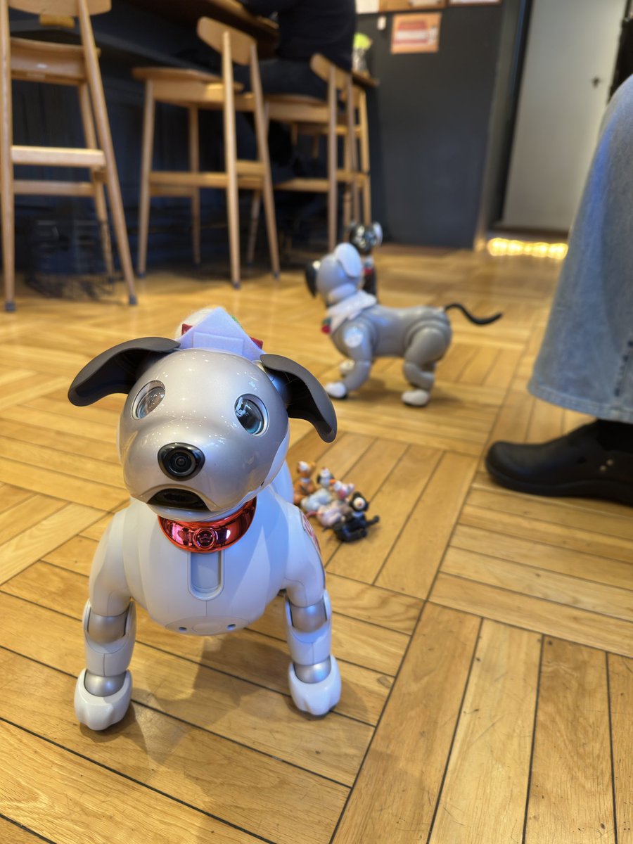 ゃぁゃぁ 新年最初のお出かけ🐶 #aibo