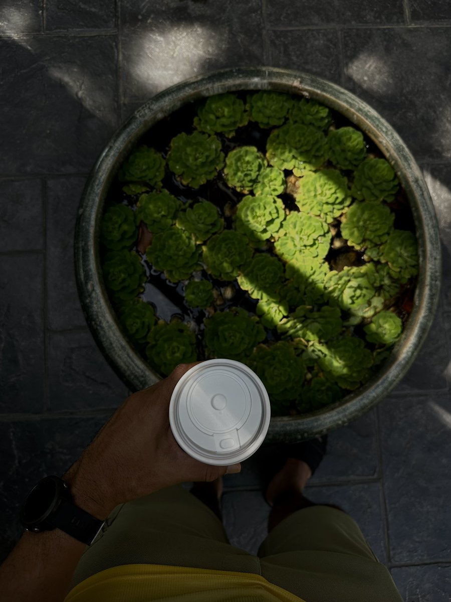 Iwanqais tweet media