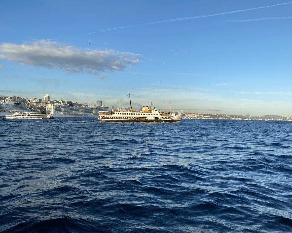 Niyetin kaderin olsun Hafız..

Cumamız mübarek olsun…
#HayırlıCumalar
#FreeFilistin
#FreeGazze 🇵🇸🇹🇷❤
#FreeDoğuTürkistan
#FreeSudan