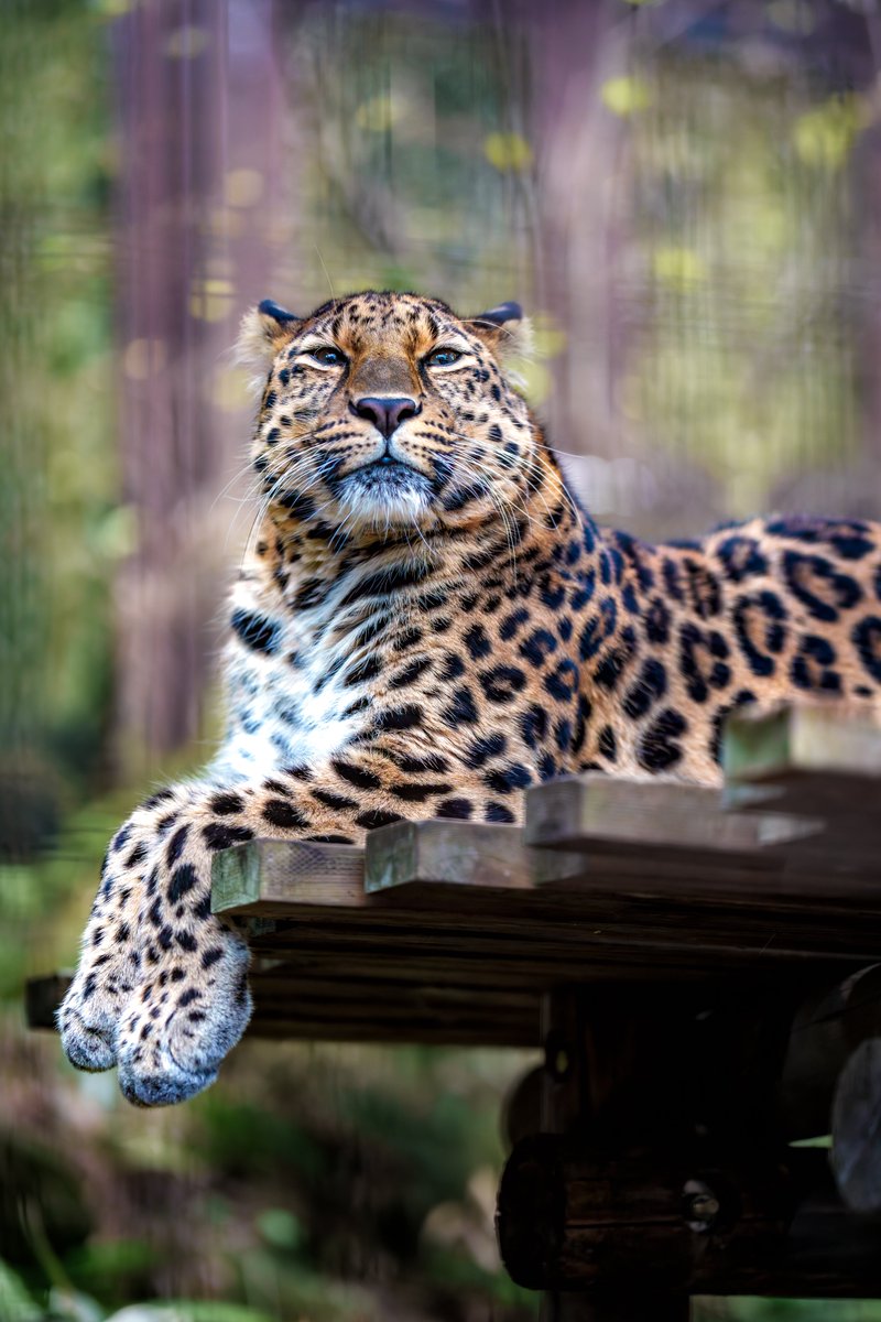 偽スナフキン いつもどちらかというとムーミン視点でスナフキン大好きなのはわかるが