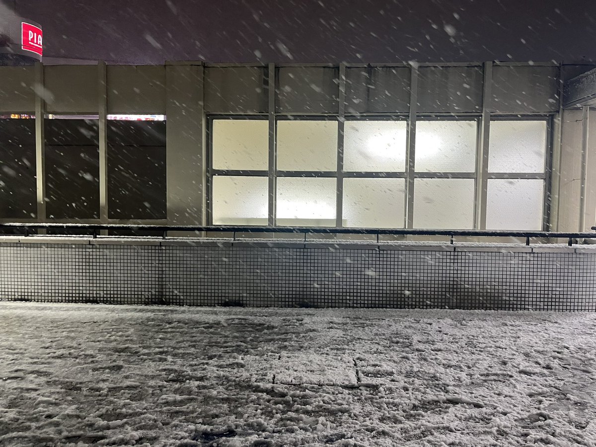 ほんまに雪の降る街になっててこれ