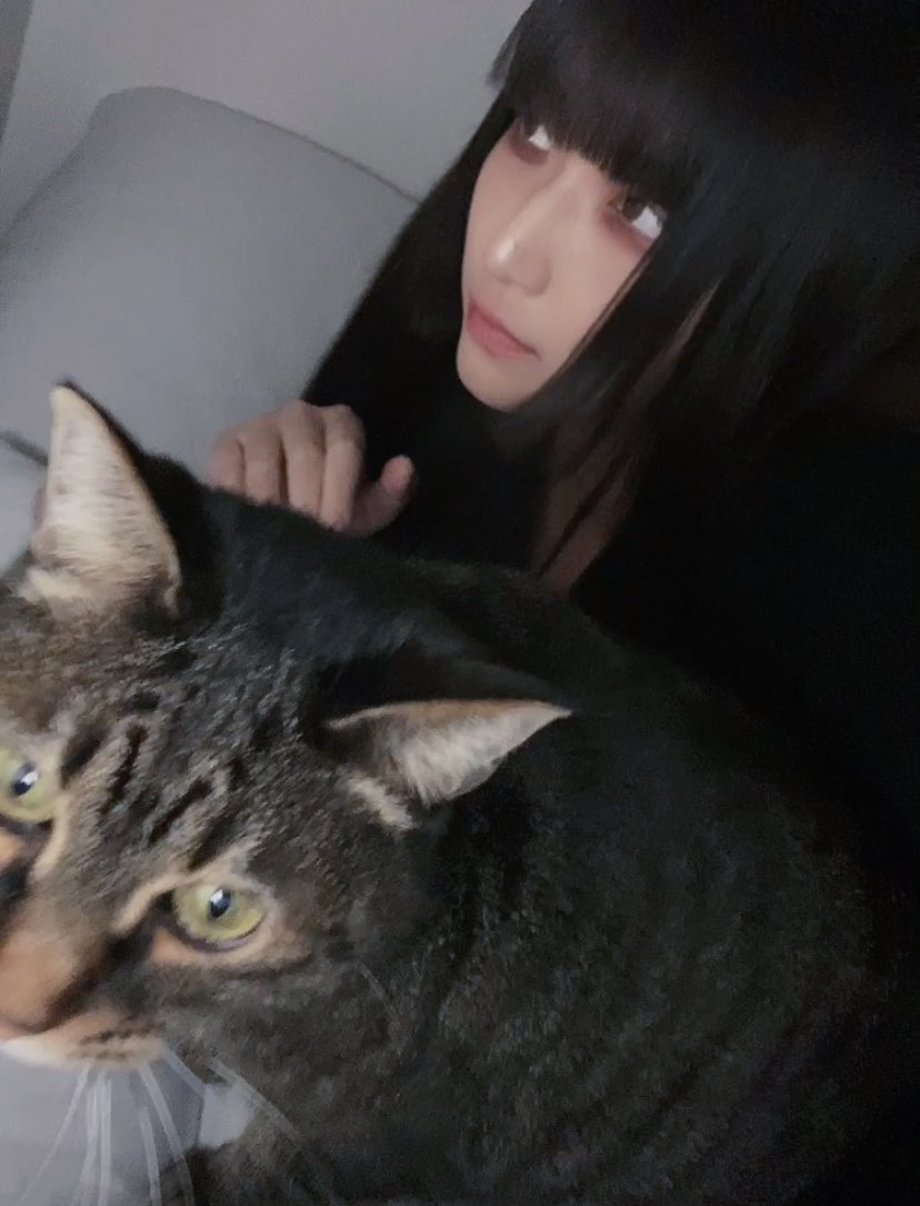 luca tsukiyono (@r6lucca) / Posts / X