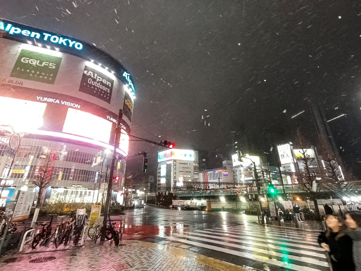 新宿すごい！雪降り始めた！
ホワイト三が日だ！