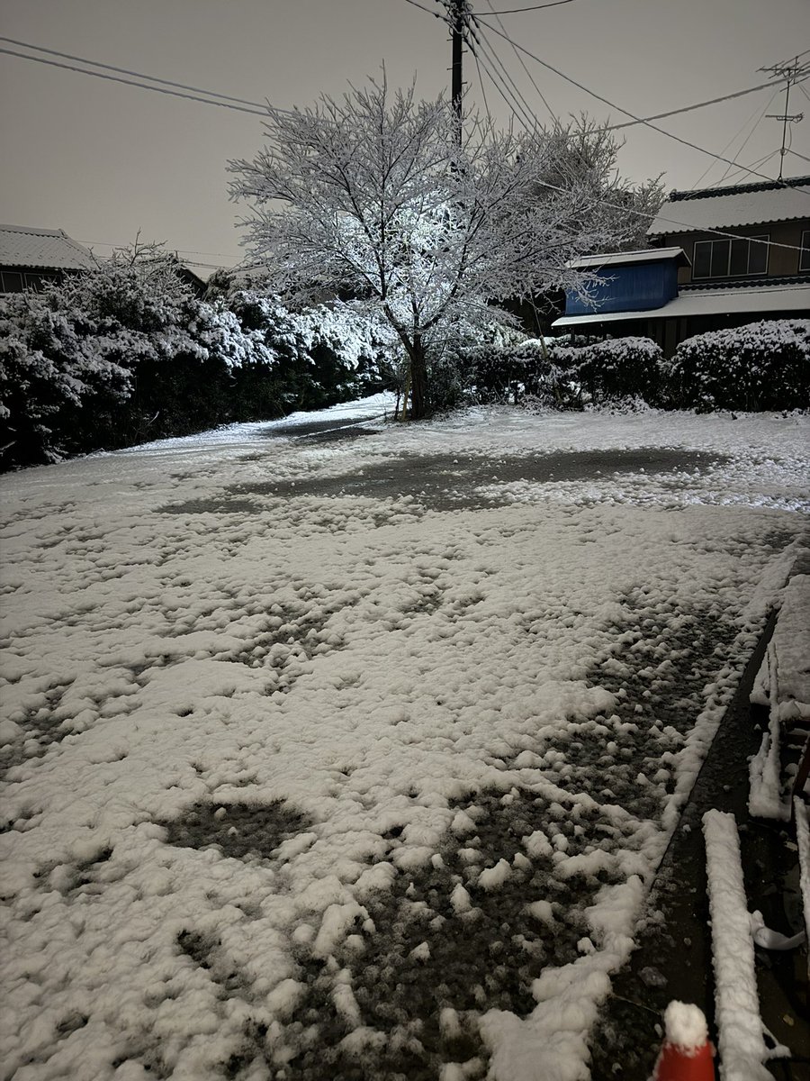 FateGrove's tweet photo. 明日の撃ち始めイベントですが現在たくさんのお客様のご予約があります！

ですが、、、
現在の加須がこんな感じです。
お気をつけてご来店ください！

それと明日は足元めっちゃ悪いと思いますので汚れてもいい靴でご来店ください！

お待ちしております！ https://t.co/HX7IUkg4Wo