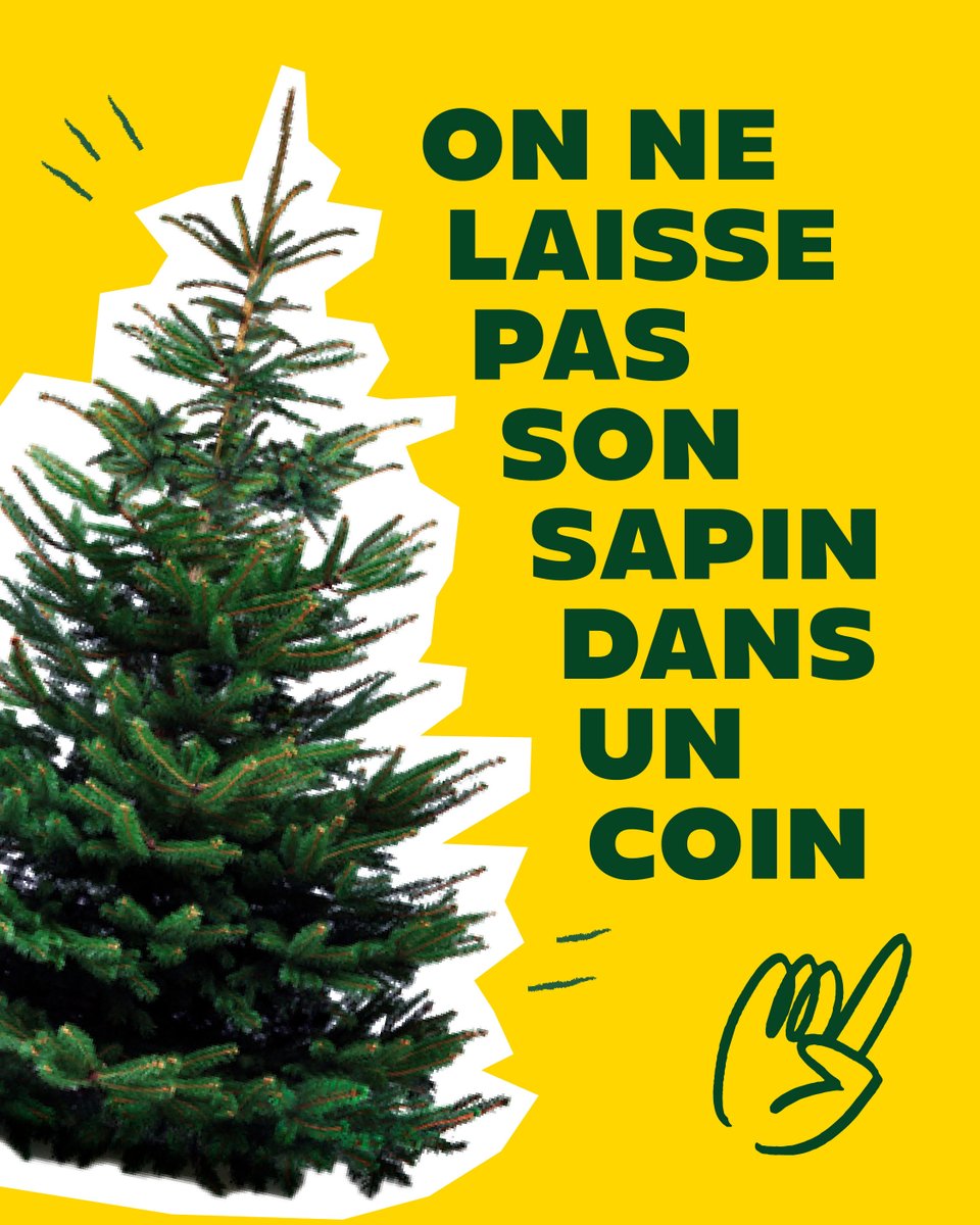 🌲Le point de collecte organisé par la communauté de communes dans différentes villes du territoire

🌲La déchetterie
Tu peux déposer ton sapin en déchetterie, il sera composté.