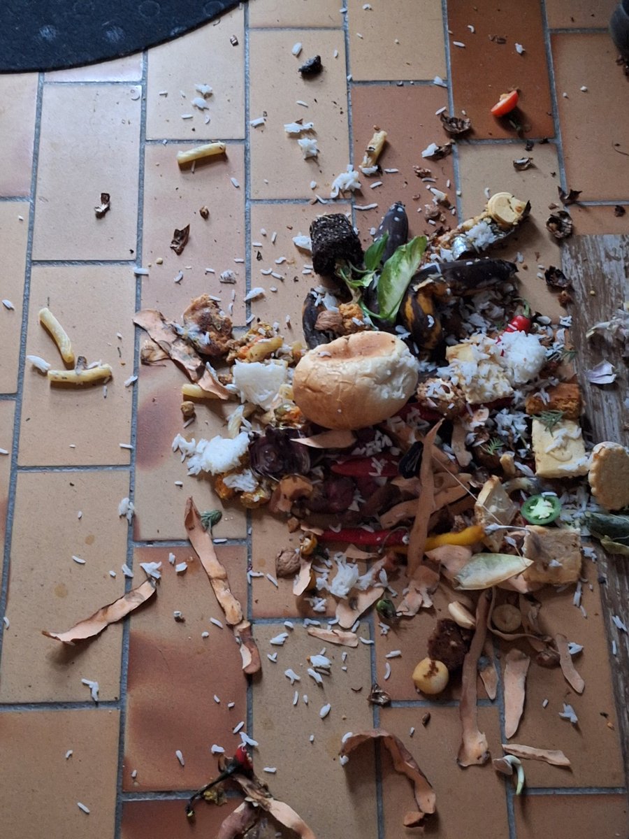 Ich liebe 2026 jetzt schon!