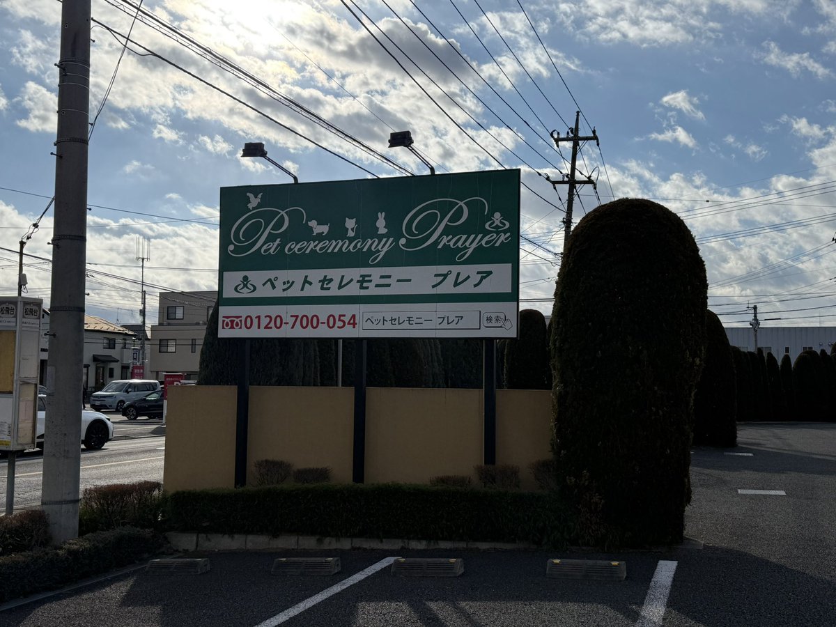 oki765LT's tweet image. 今日は家族で初詣
帰り、りゅう君の墓まいり