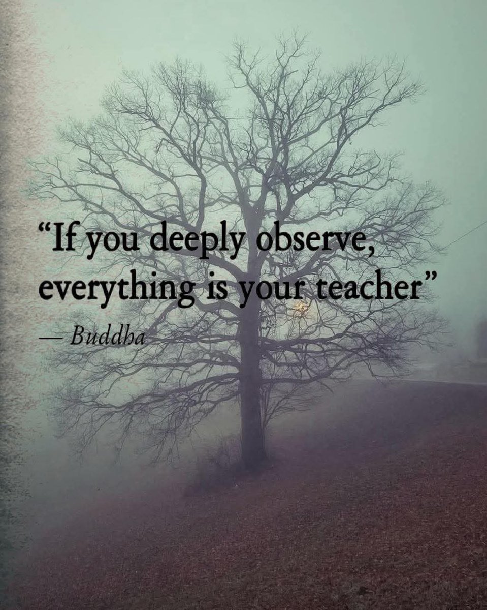 Jane Jane (@sannievdspuy) on Twitter photo 
