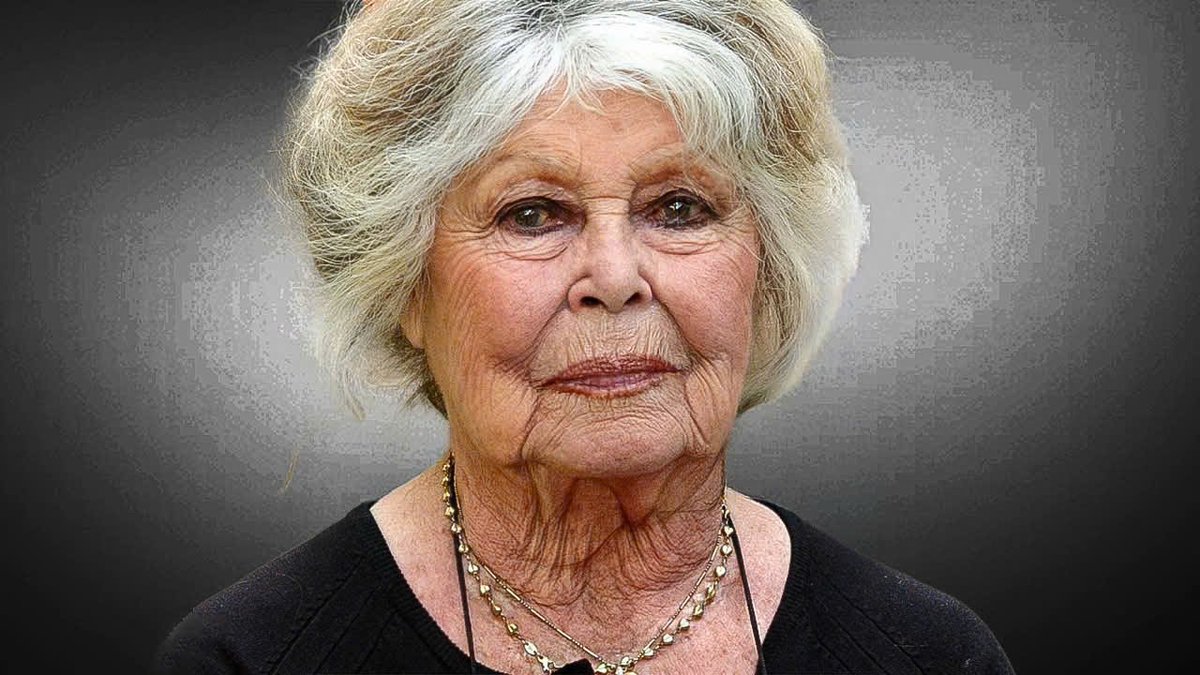 Zobi la mouche tweet media