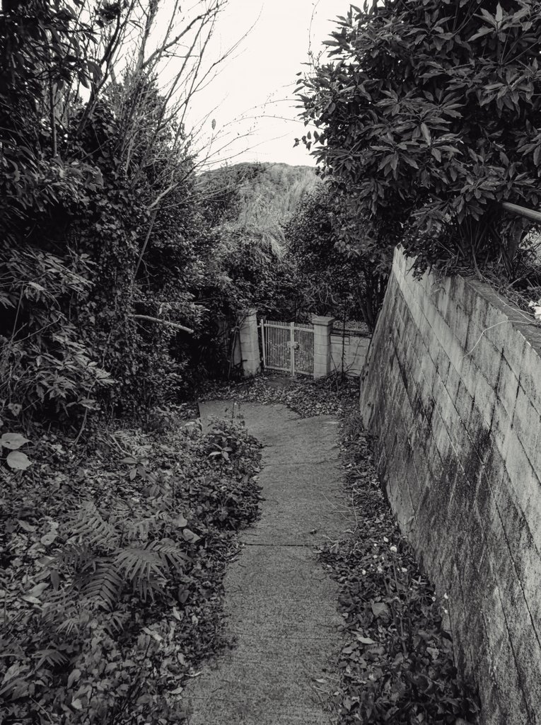 早乙女ボブ (@bob_saotome) on Twitter photo 