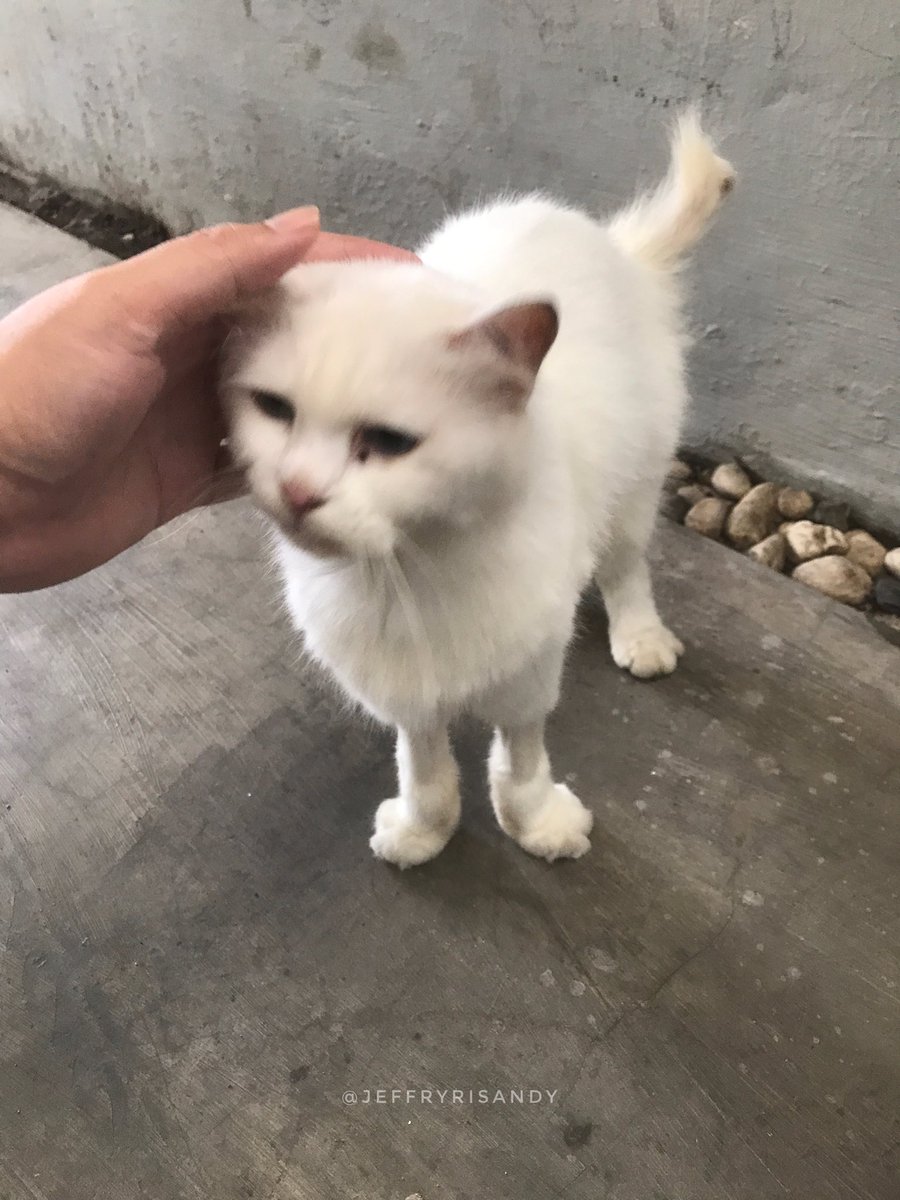 pulang kerja dan penyambutan pertama di tahun 2026 🐼