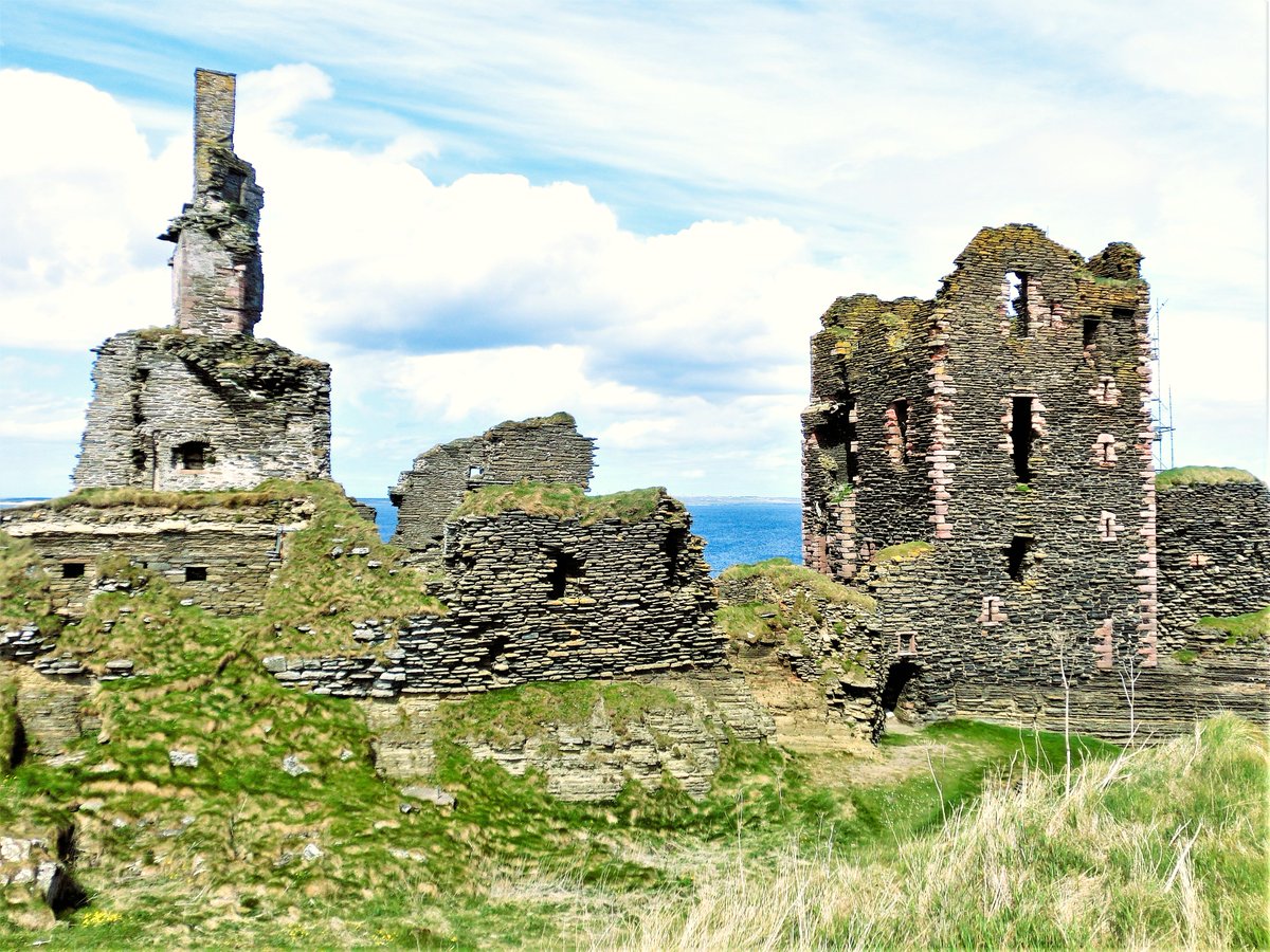 David Graham Scott Ⓥ tweet media