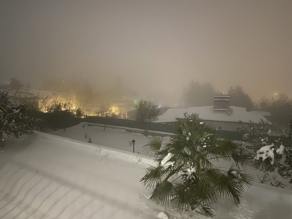 Celiker Bahceci tweet media