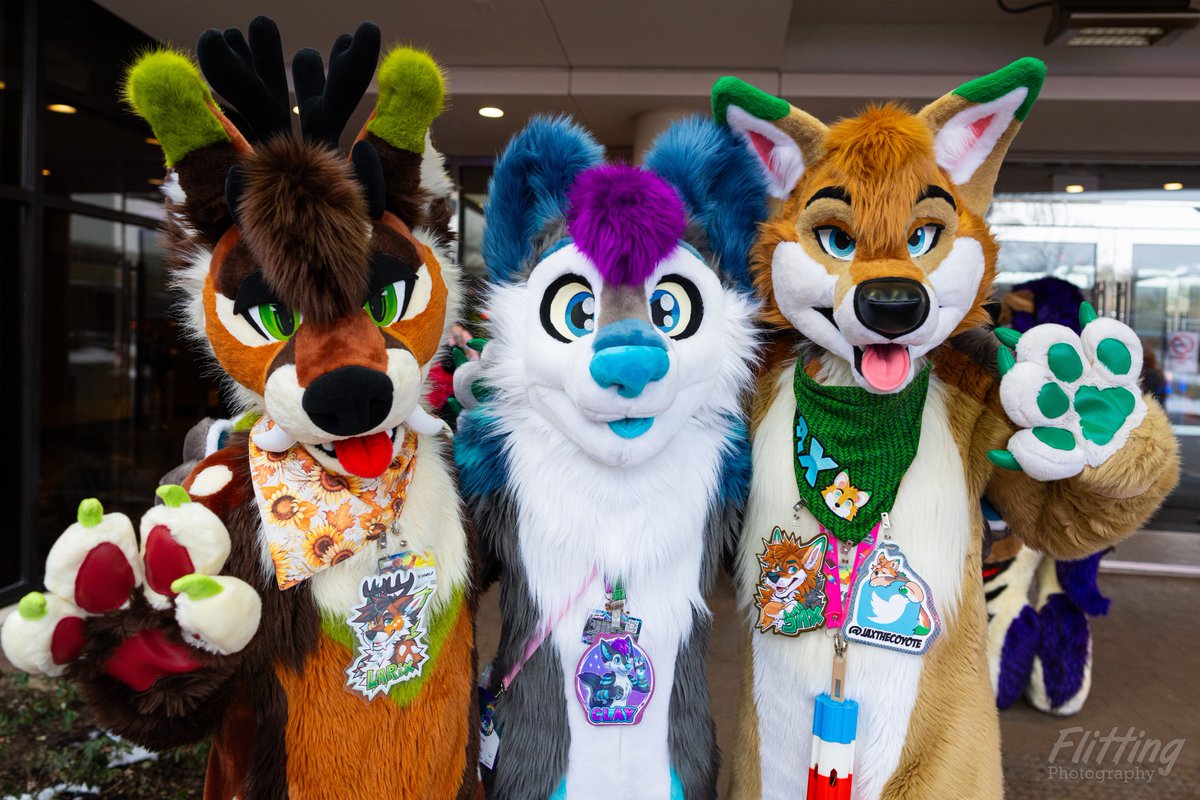 Clay_The_Fox's tweet photo. Let's start the first #FursuitFriday of the year right with:
🦌: @ https://t.co/Cz81ipmqrO
🐺: @JaxTheCoyote
🪡: @chevypepper @LupeSuits @TwinkyArts  

📷: @StAntwelm at #Furfest #MFF2025 https://t.co/vbeTKjxv45