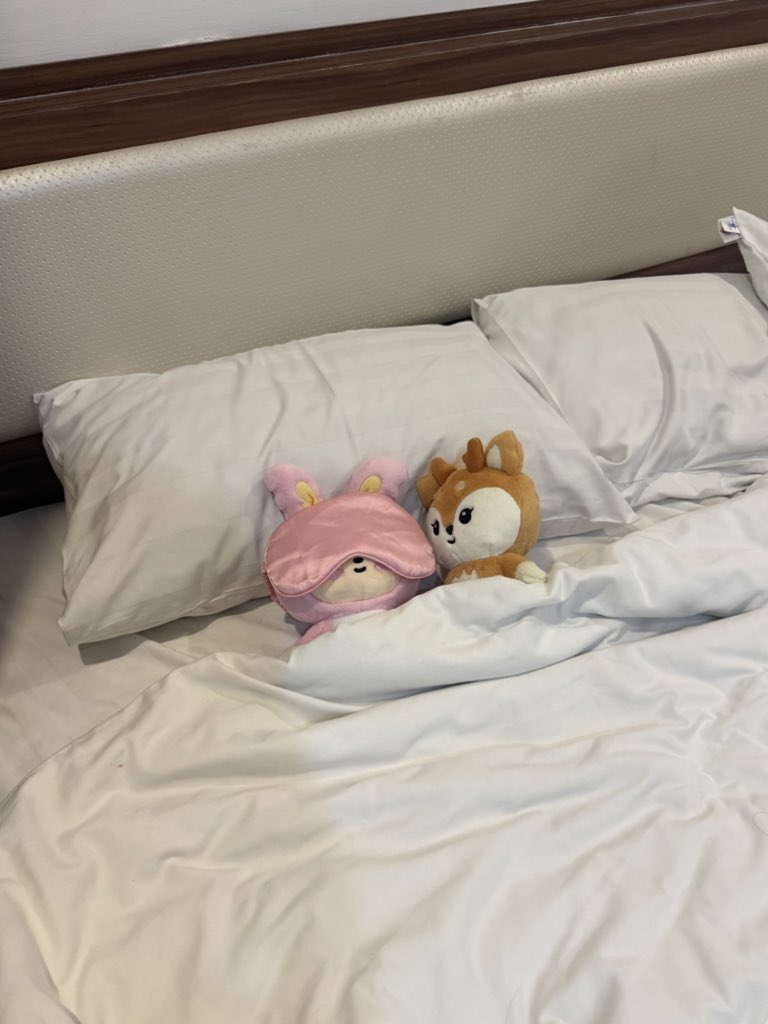 shuasjeong's tweet photo. zzzzzzzzzz https://t.co/aY5NmiNtVK