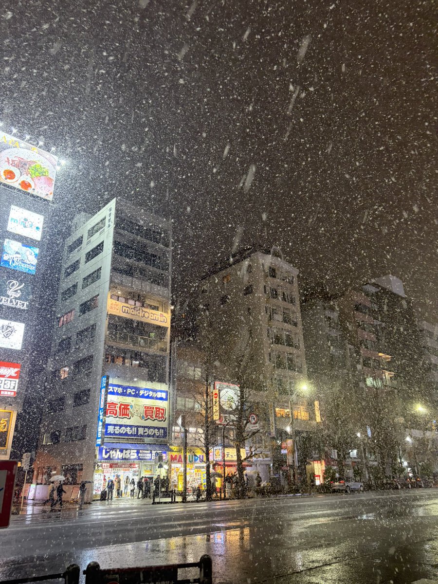 Lab_coat__'s tweet image. あきば雪です