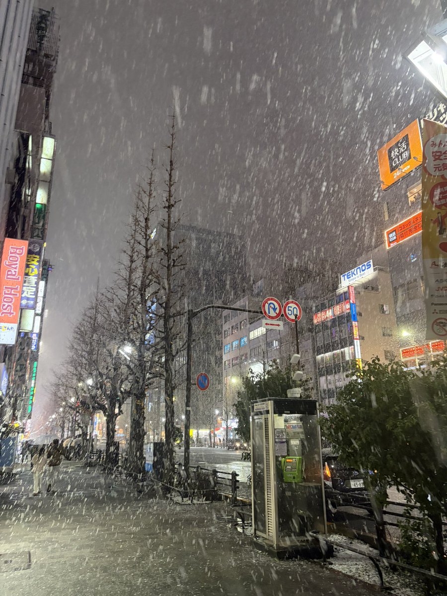Lab_coat__'s tweet image. あきば雪です
