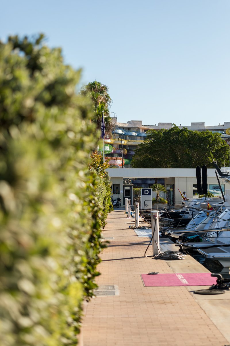 Identity across Marina Ibiza 

#marinaibiza #ibiza #meetus #superyacht #travelibiza #ibizadestination #sunset #identity