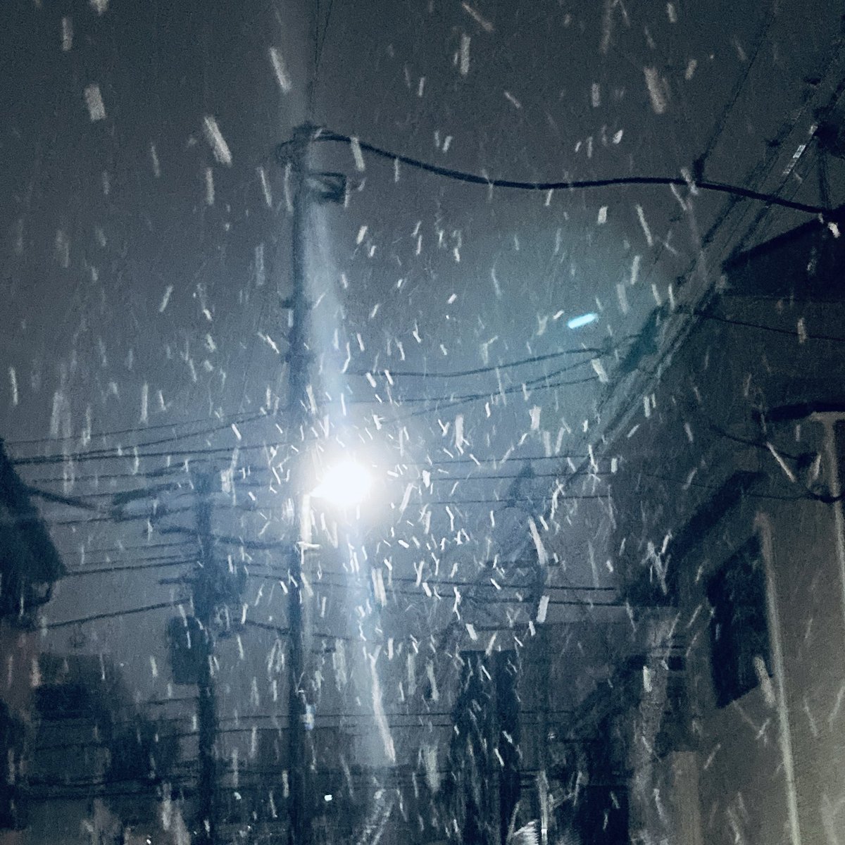 MicroMouse2011's tweet photo. やばい雪だ！ https://t.co/Ck22oHyu8V