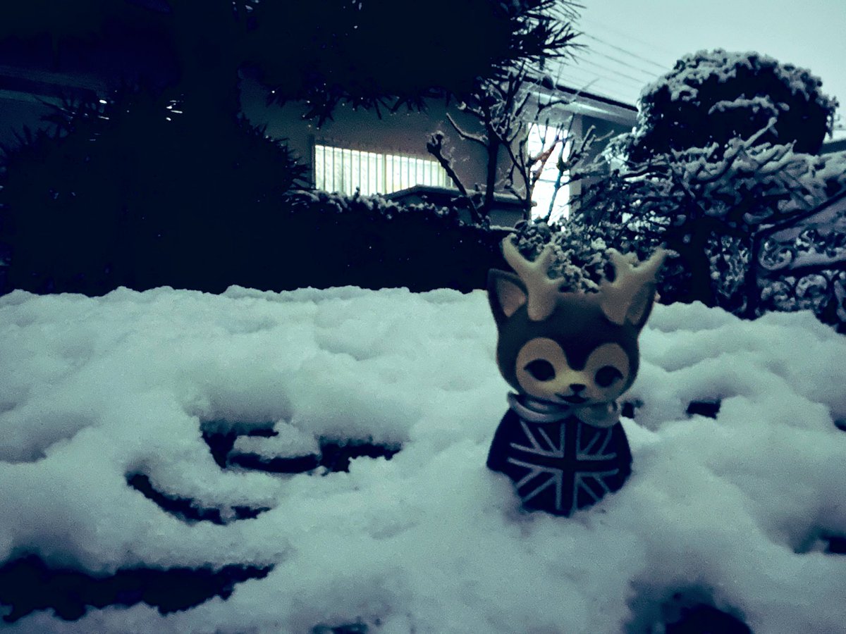 ひなたかほり🪴🐀 (@hinatique) / Posts / X