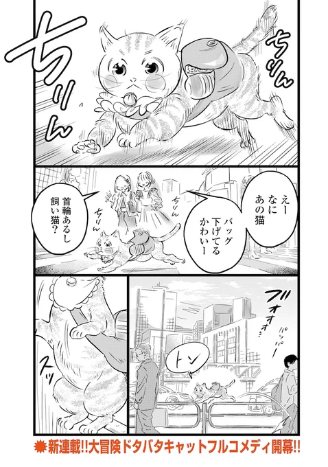 勘違いキャットが飼い主をさがしに行く話(1/7) 