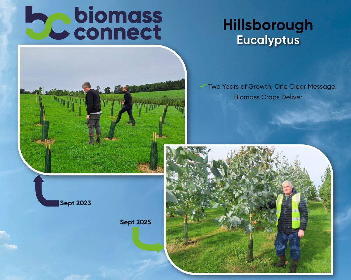 Biomass Connect tweet media