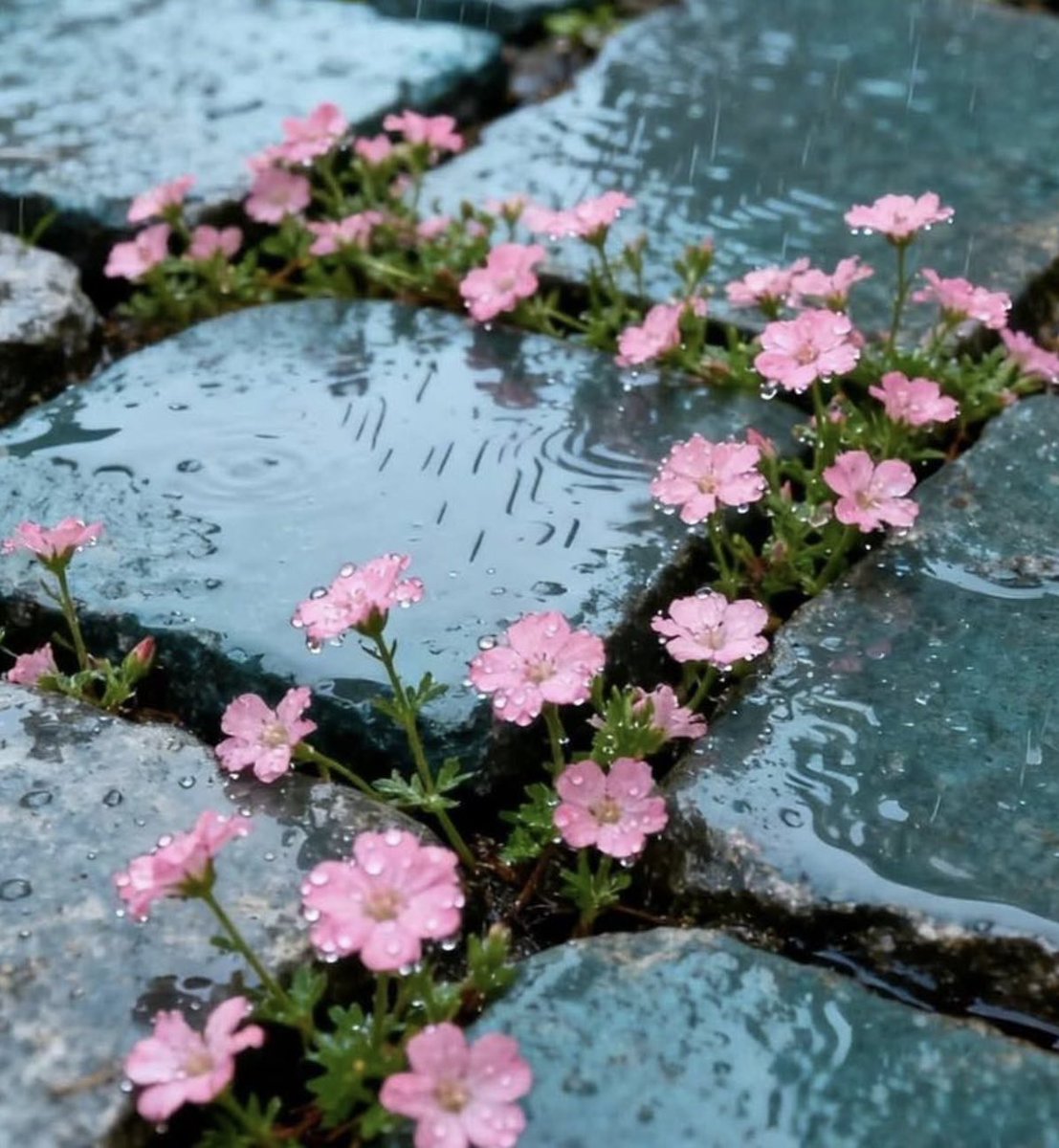 #اللهم عَفْوَكَ، وَعَافِيَتَكَ، وَرِزْقَكَ، وَرَحْمَتَكَ، وَمَغْفِرَتَكَ، وَسَتْرَكَ، وَكَرَمَكَ، وَلُطْفَكَ، وَجَنَّتَكَ.

#اللَّهُــمَّ صَلِّ وسلًّمْ على نَبِيِّنَـــا مُحمَّدﷺ