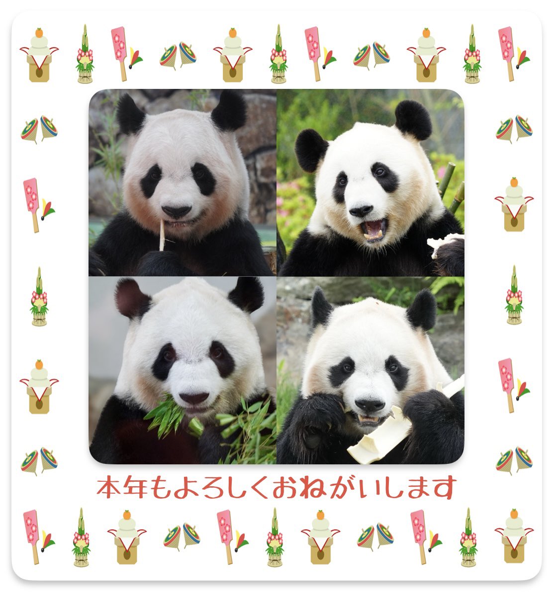 遅ればせながら…
本年もどうぞよろしくお願い致します🙇‍♀️🙇