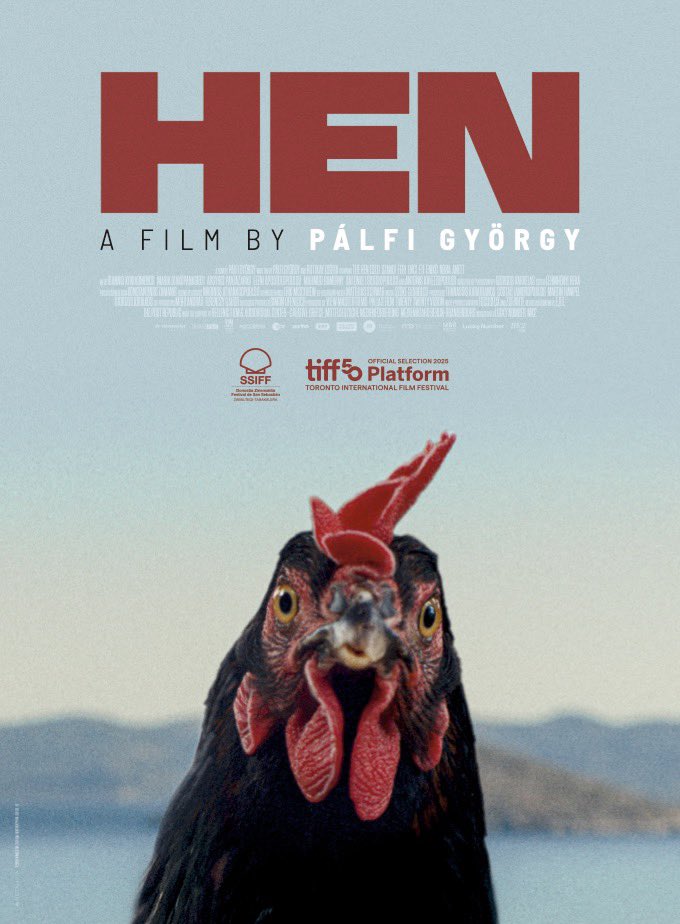 JawsCinema's tweet image. Je dois être le seul au monde, mais j’ai hâte de voir HEN. Un film où on suit une poule qui s’enfuit d’un élevage industriel. Le 22 avril au cinéma.