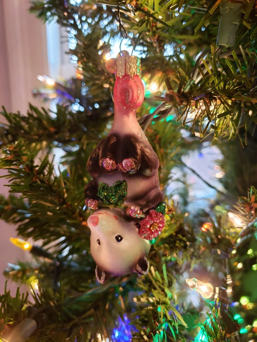 Какая прелесть 😍