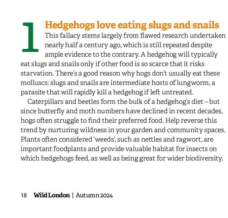 HedgehogCabin's tweet image. Wild London David Attenborough
I'm getting so many posts from lovely people absolutely outraged at the misinformation regarding hedgehogs and slugs presented on this show yesterday, so I'll just address it here.
David Attenbourough is a really lovely man, and has done an immense…