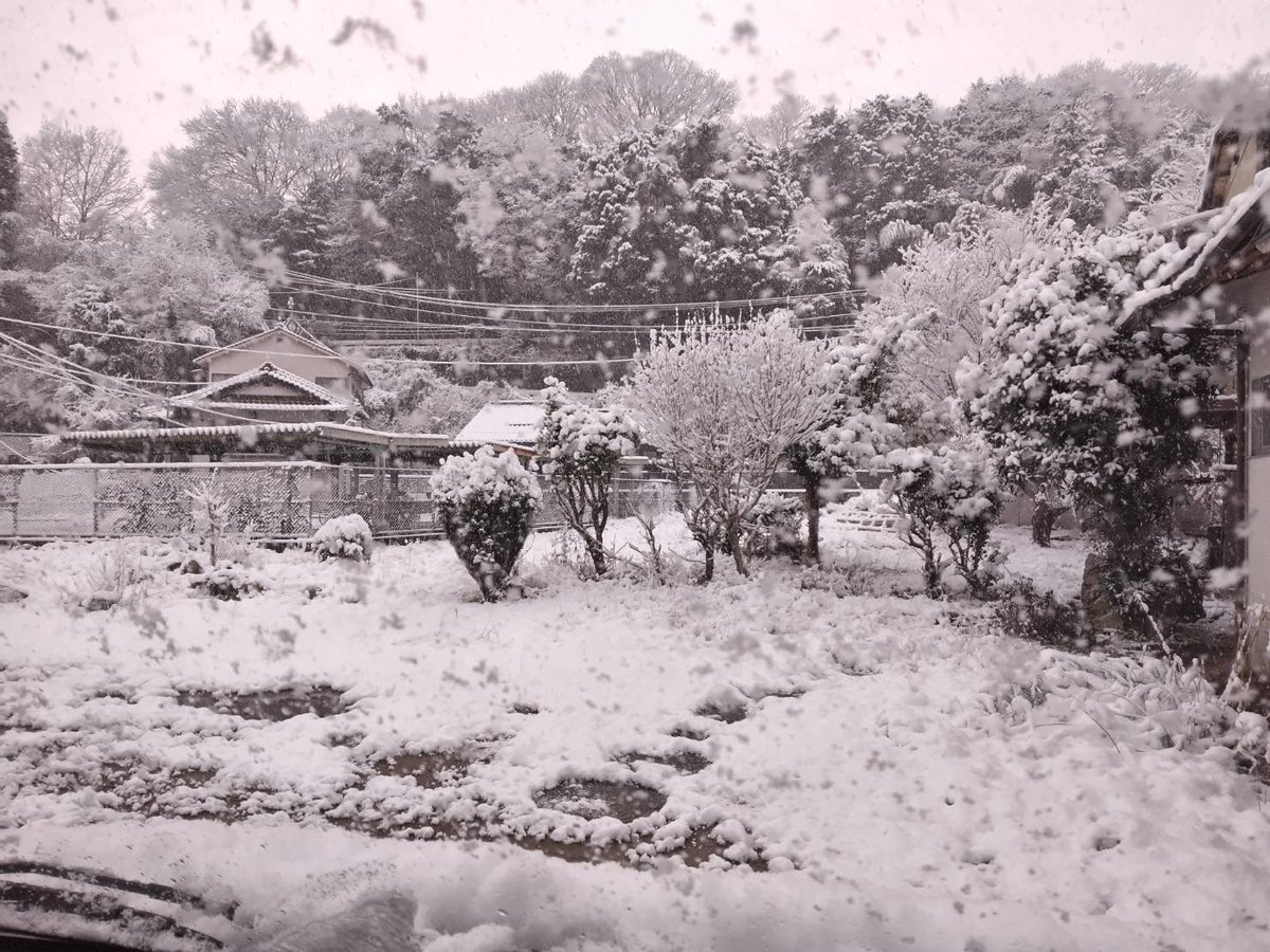 本日のりょうま記念館 志和口駅周辺 白木町は一面雪景色になっており