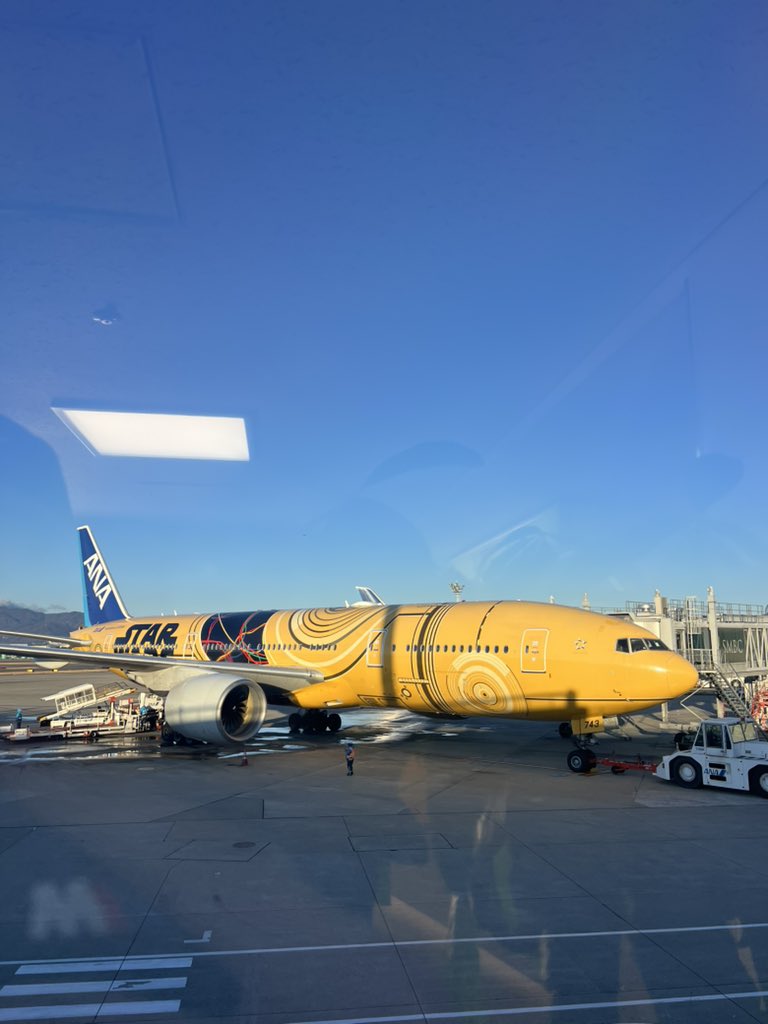 ma_s214's tweet photo. OKA🌺✈️ https://t.co/NPbzmhyrSu