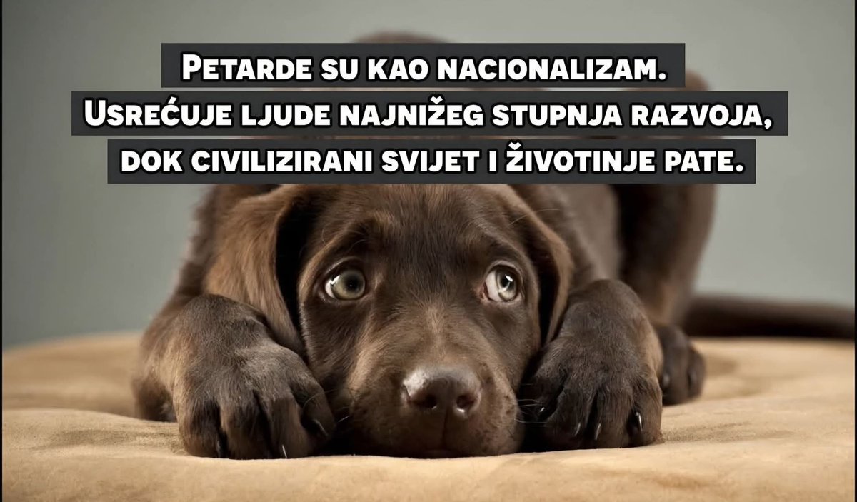 Maxova68's tweet image. No, to!