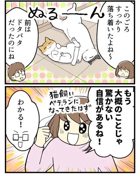 ベテラン気取りの猫飼いが衝撃を受けた理由(0/2) 