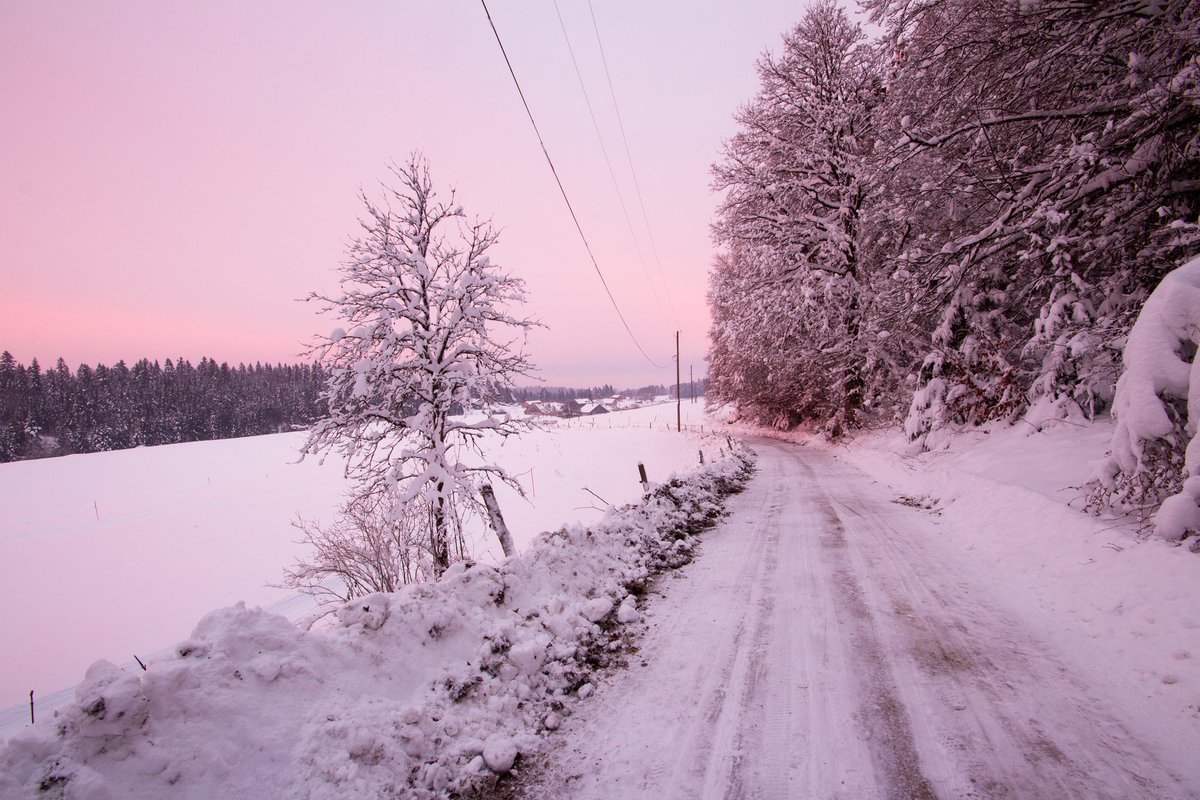 devisu_art's tweet image. Fragments hivernaux 📷

Bonne année 2026 ✨