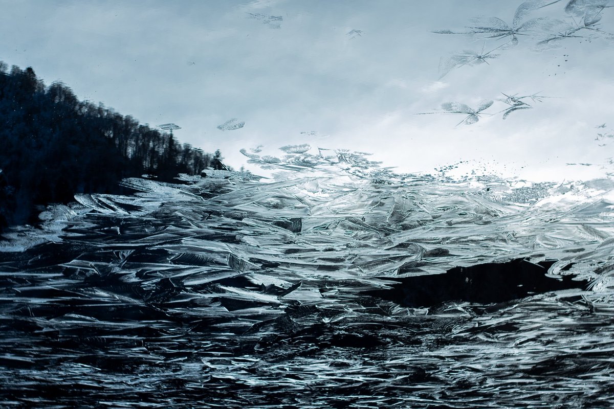 devisu_art's tweet image. Fragments hivernaux 📷

Bonne année 2026 ✨