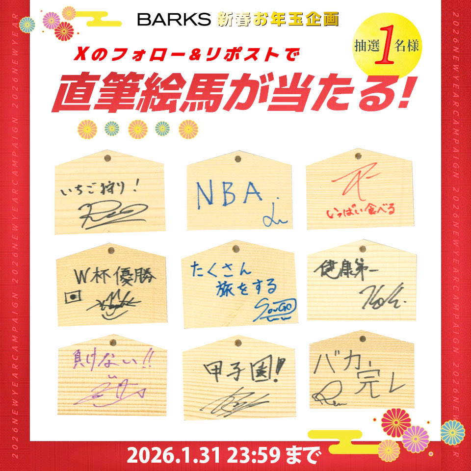 oujiraku's tweet image. お願いしますらくはこれ何を伝えたいのか
どなたか教えてください

え。ちょんちょんが悪い？これ。

#推論的に宇宙人
#ALIENBOY